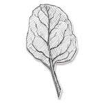 small-leaf-thumb