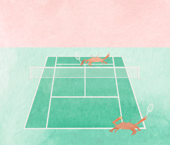 pen_and_palate_crab_dip_tennis
